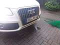 Audi Q5 Q5 Diesel 3.0 TDI quattro S tronic Weiß - thumbnail 5