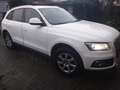 Audi Q5 Q5 Diesel 3.0 TDI quattro S tronic Weiß - thumbnail 6