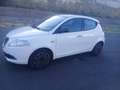 Lancia Ypsilon 1.3 mjt Elefantino s&s 95cv - thumbnail 4