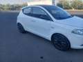 Lancia Ypsilon 1.3 mjt Elefantino s&s 95cv - thumbnail 3