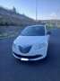 Lancia Ypsilon 1.3 mjt Elefantino s&s 95cv - thumbnail 2