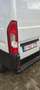 Fiat Ducato 2.2 Multijet L2 (EU6d) Blanc - thumbnail 16
