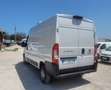 Fiat ducato frigo ATP rinnovata PREZZO FINITO Bianco - thumbnail 7