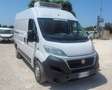 Fiat ducato frigo ATP rinnovata PREZZO FINITO Bianco - thumbnail 3