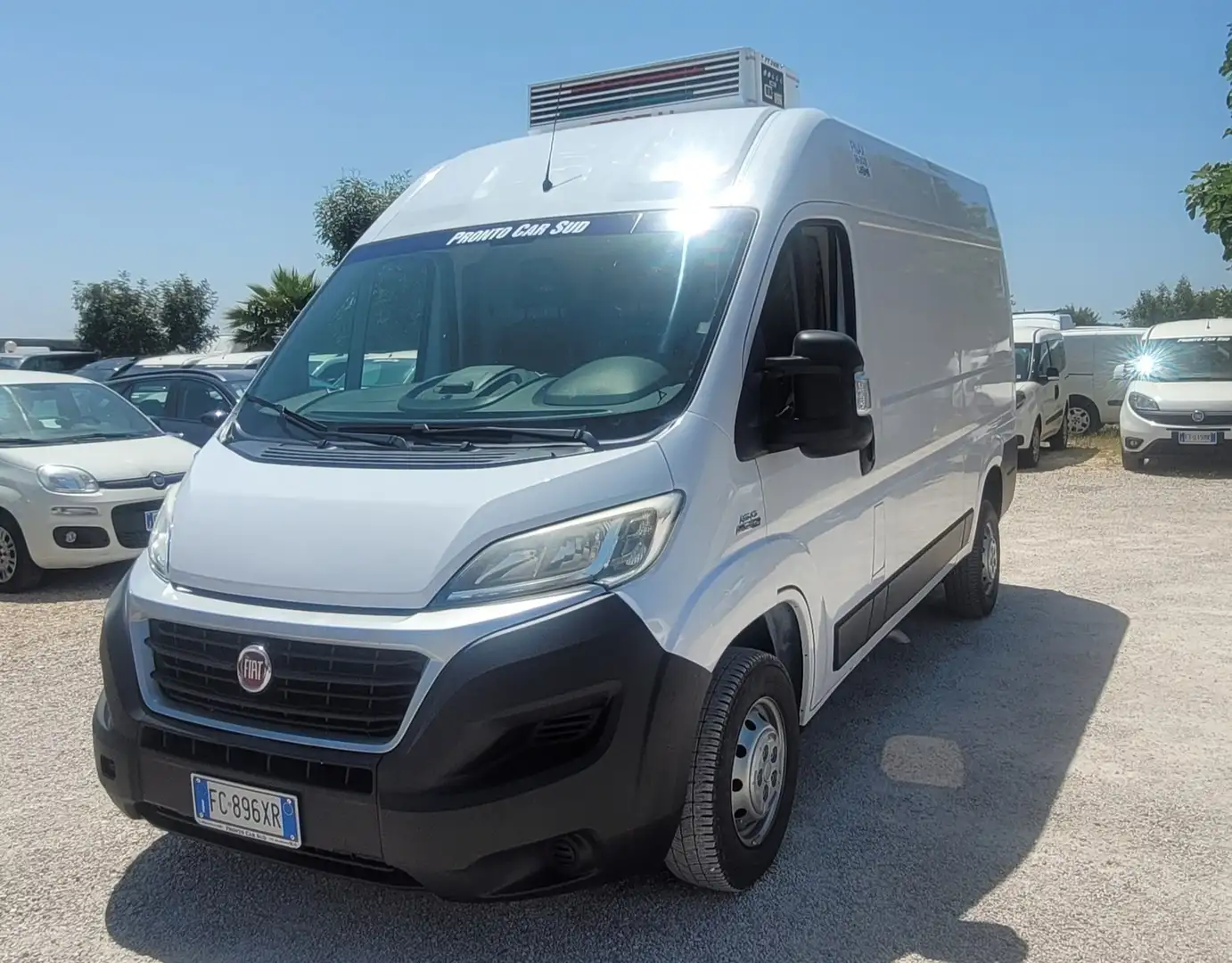 Fiat ducato frigo ATP rinnovata PREZZO FINITO Bianco - 1