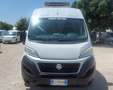 Fiat ducato frigo ATP rinnovata PREZZO FINITO Bianco - thumbnail 2