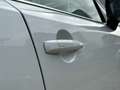 Nissan Qashqai 1.3 MHEV Xtronic Tekna Plus Bose | Panorama Wit - thumbnail 6
