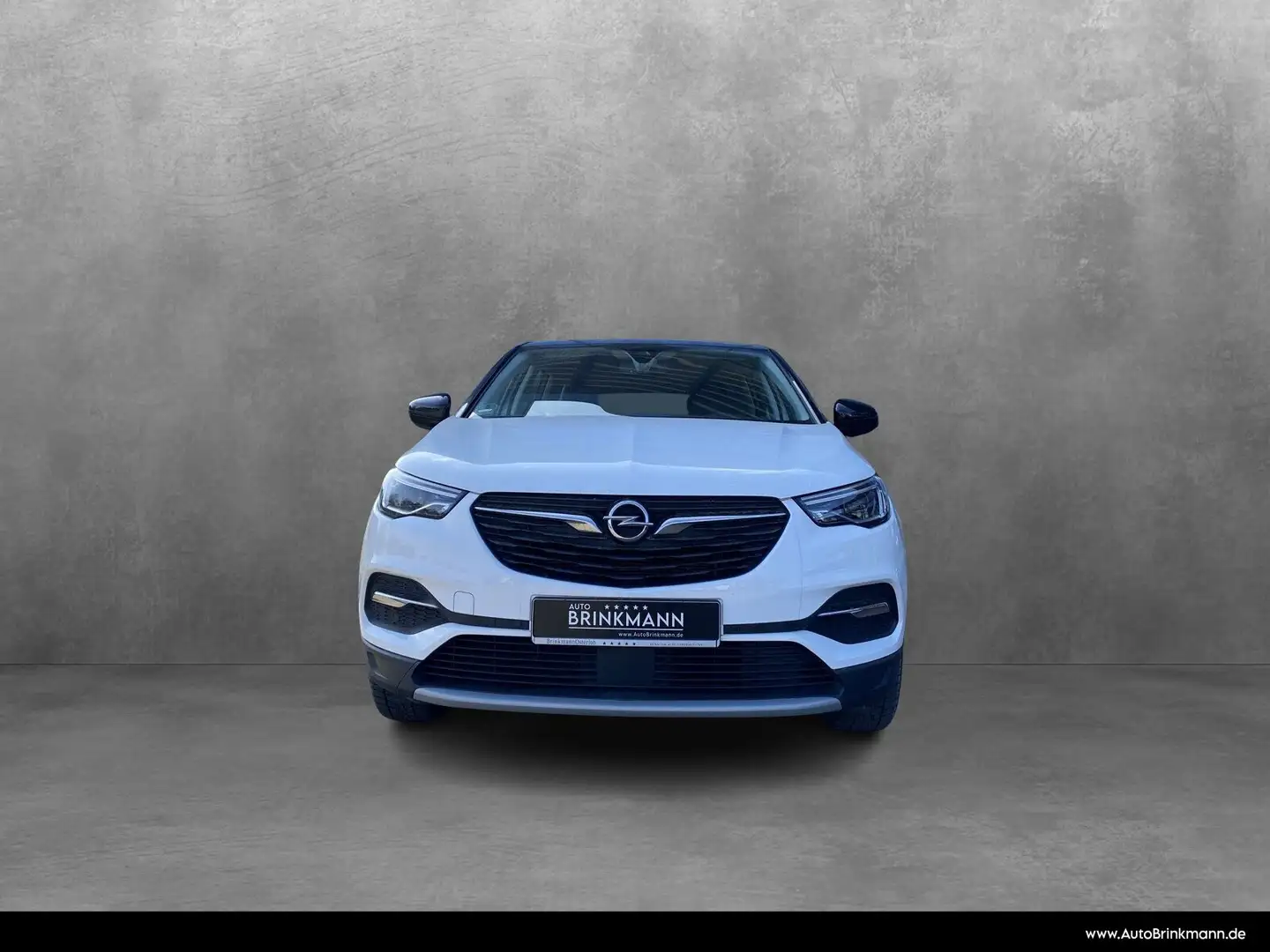 Opel Grandland Grandland X 1.6 T. Hybrid INNOVATION SHZ/Klima Wit - 2