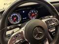 Mercedes-Benz CLS 300 CLS 300 d AMG PAKETE INNEN UND AUSSEN Grau - thumbnail 13