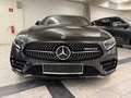 Mercedes-Benz CLS 300 CLS 300 d AMG PAKETE INNEN UND AUSSEN Grau - thumbnail 10