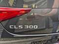 Mercedes-Benz CLS 300 CLS 300 d AMG PAKETE INNEN UND AUSSEN Grau - thumbnail 35