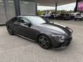 Mercedes-Benz CLS 300 CLS 300 d AMG PAKETE INNEN UND AUSSEN Grau - thumbnail 30