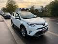 Toyota RAV 4 RAV4 2.0 D-4D 2WD Premium - thumbnail 3