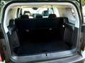 BAIC BJ30 1.5T HEV AWD DHT LED STAUASSISTENT MJ25 Verde - thumbnail 11