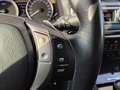 Lexus GS 300 300h Hybride Autom. Leather Memory Heated/Ventilat Negro - thumbnail 33