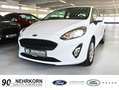 Ford Fiesta TREND LED KLIMA WinterPaket DAB 1.Hand Garantie Blanc - thumbnail 1