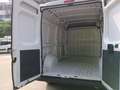 Fiat Ducato 2.3 MJT 140 CV PM-TM  CAMBIO AUTOMATICO Bianco - thumbnail 12