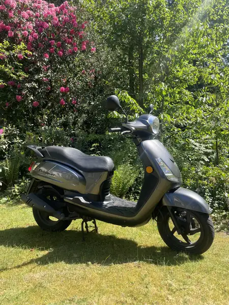 SYM Fiddle 50 - foto 3