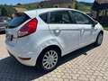 Ford Fiesta 1.5 TDCi 75CV 5 porte Titanium Blanc - thumbnail 3