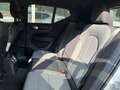 Volvo XC40 T4 Plus Dark Recharge Plug-In Hybrid DKG Weiß - thumbnail 12