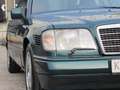 Mercedes-Benz E 250 W124 E250 diesel Automatik Klima Tempomat Schiebed Groen - thumbnail 19