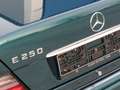 Mercedes-Benz E 250 W124 E250 diesel Automatik Klima Tempomat Schiebed Verde - thumbnail 23
