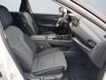 Nissan X-Trail IV 2022 - X-Trail 1.5 e-power N-Connecta e-4orce 4 Weiß - thumbnail 11