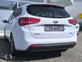 Kia Ceed / cee'd Sportswagon Dream Team 1.4 CVVT Navi/klima/Ambient Weiß - thumbnail 22