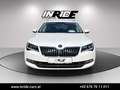 Skoda Superb 4x4 DSG *AHK*Keyless*Teilleder*Memory*Navi Weiß - thumbnail 3