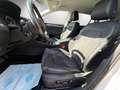 Skoda Superb 4x4 DSG *AHK*Keyless*Teilleder*Memory*Navi Weiß - thumbnail 11