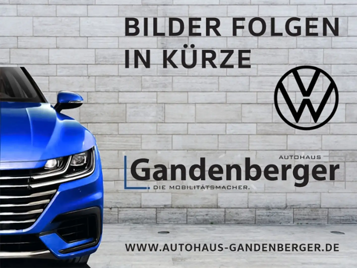 Volkswagen Golf VIII Life 1,5 l TSI116 PS 6-Gang Grigio - 1