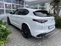Alfa Romeo Stelvio Quadrifoglio Q4, kein Unfall, rep. Hagelschaden Weiß - thumbnail 6