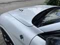 Alfa Romeo Stelvio Quadrifoglio Q4, kein Unfall, rep. Hagelschaden Weiß - thumbnail 7