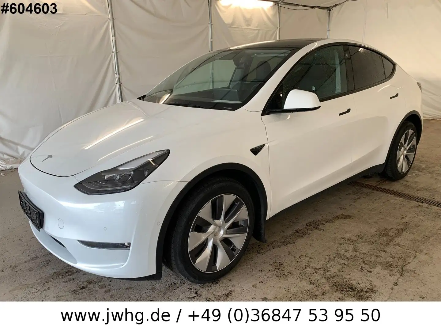Tesla Model Y Long Range AWD 75 kWh Wärmep Autopilot-3 Weiß - 1