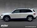 Mercedes-Benz EQB 250 Night/Progressive/Advanced/LED/Kamera/ Weiß - thumbnail 2