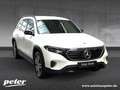 Mercedes-Benz EQB 250 Night/Progressive/Advanced/LED/Kamera/ Weiß - thumbnail 5