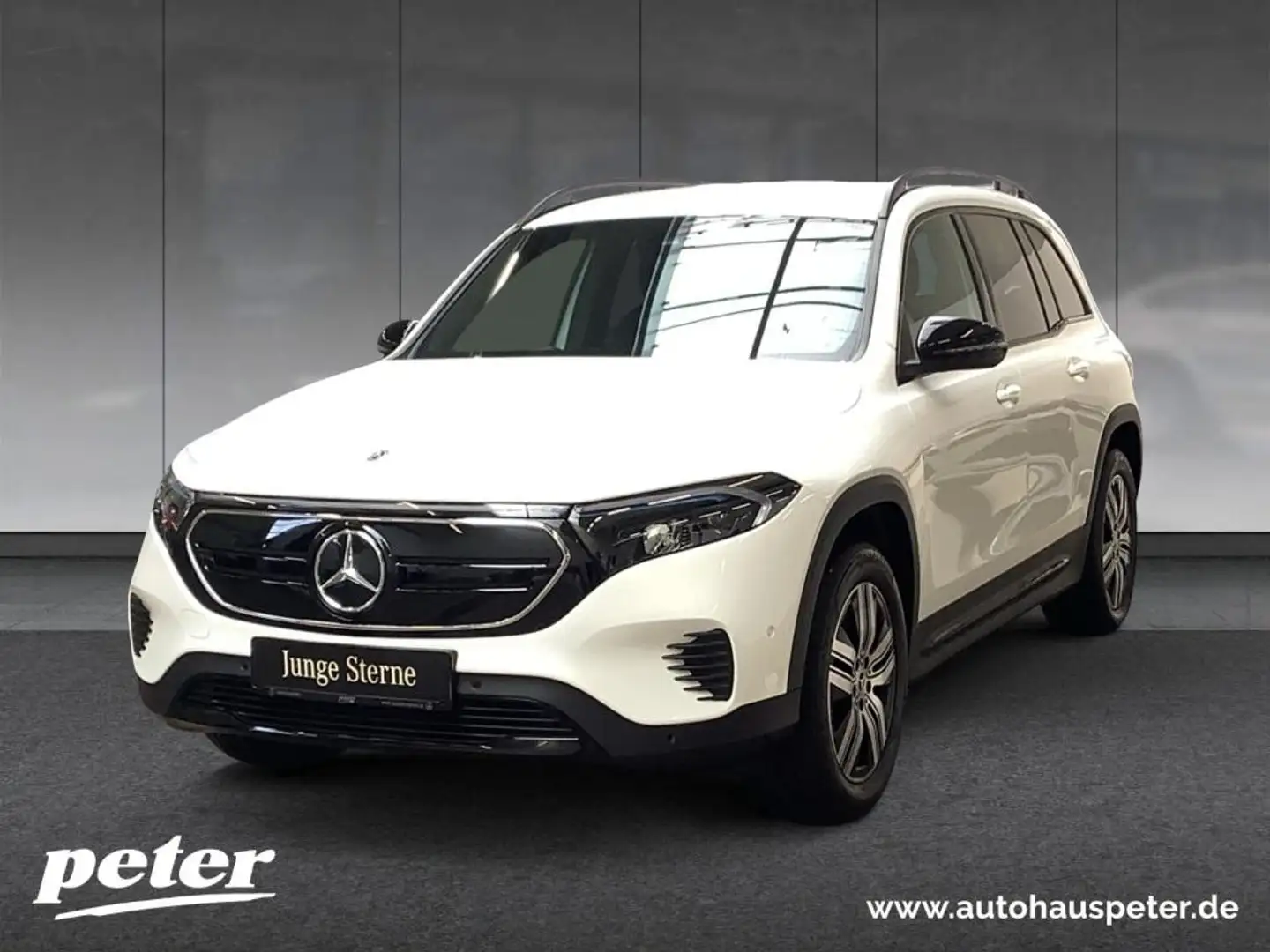 Mercedes-Benz EQB 250 Night/Progressive/Advanced/LED/Kamera/ Weiß - 1