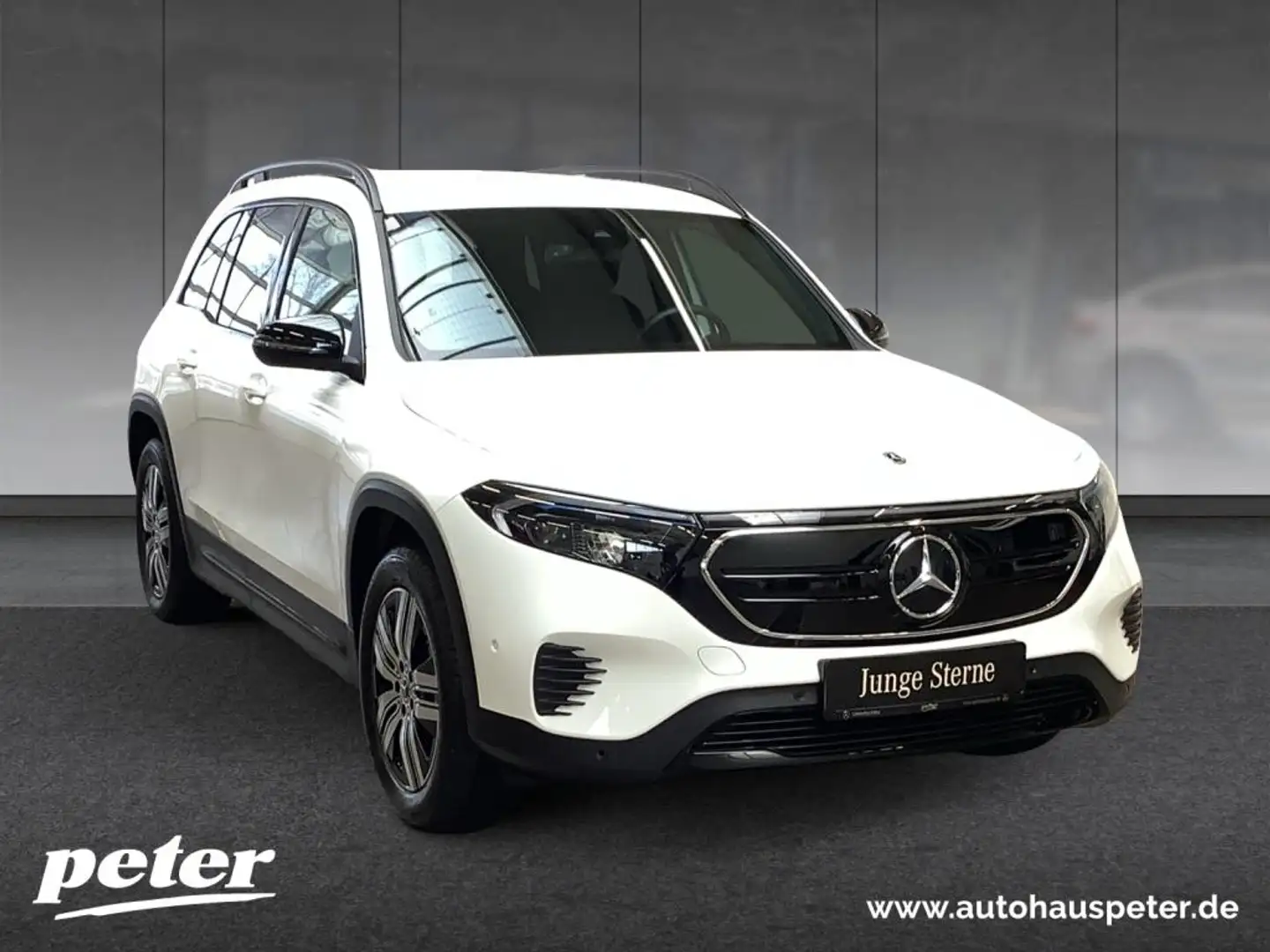 Mercedes-Benz EQB 250 Night/Progressive/Advanced/LED/Kamera/ Білий - 1