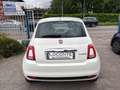 Fiat 500 1.0 hybrid Club 70cv Bianco - thumbnail 5