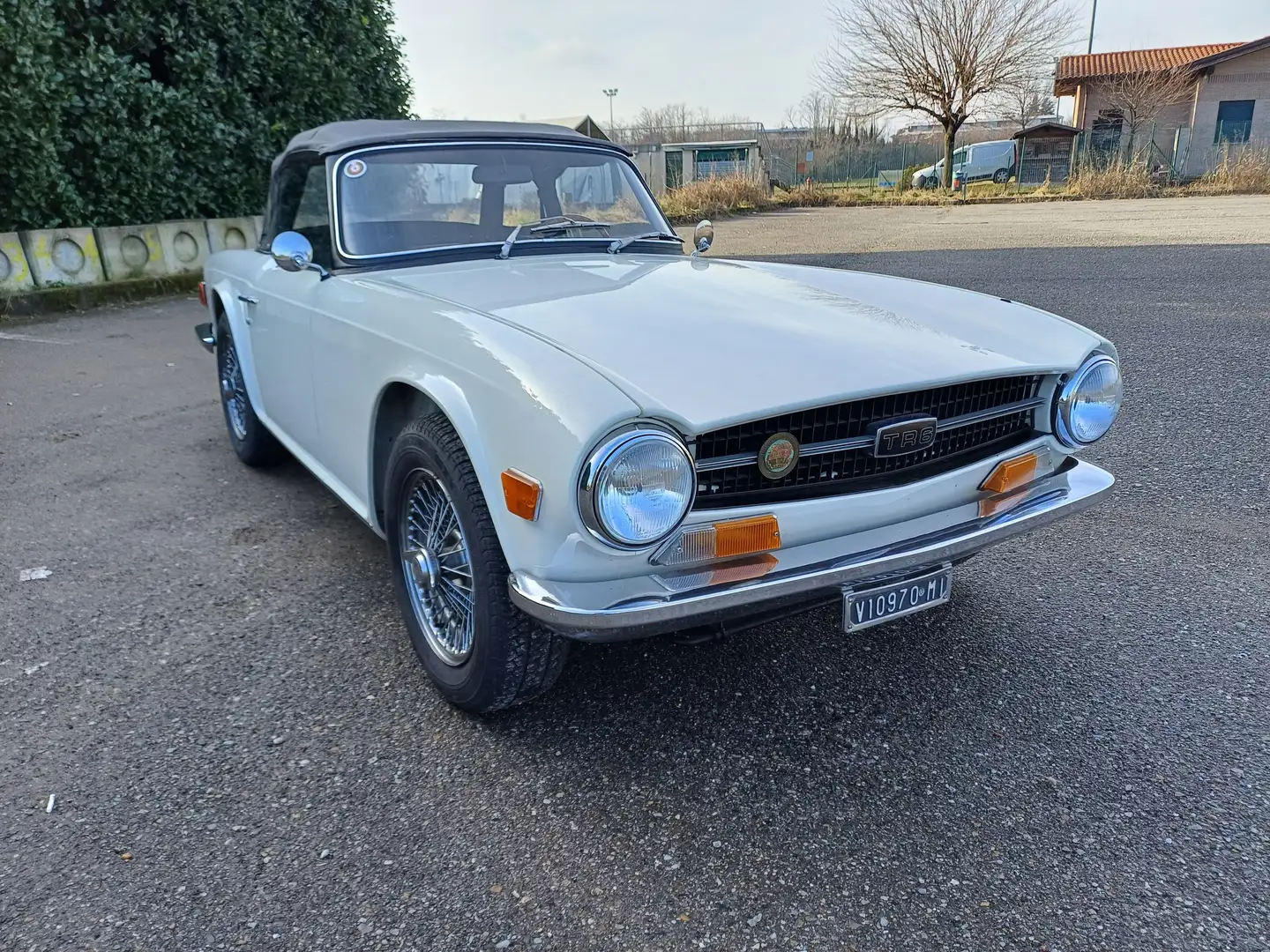 Triumph TR6 Bianco - 2