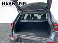Renault Kadjar 1.3 TCe 140 GPF Zen LED*SHZ*PDC*2xKlima Grau - thumbnail 6