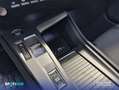 Peugeot 308 1.5 BlueHDi S&S Allure Pack EAT8 130 Verde - thumbnail 20