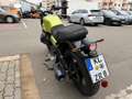 Moto Guzzi V7 Sport V7 SPORT E5+ GREEN LEGNANO Verde - thumbnail 6