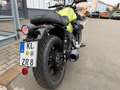 Moto Guzzi V7 Sport V7 SPORT E5+ GREEN LEGNANO Verde - thumbnail 7
