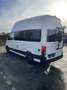 Volkswagen Crafter Grand California camperbus Blanc - thumbnail 5