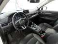 Mazda CX-5 2.2 D175 Sports-Line AWD MRCC+AHK+Bose+LED Weiß - thumbnail 16