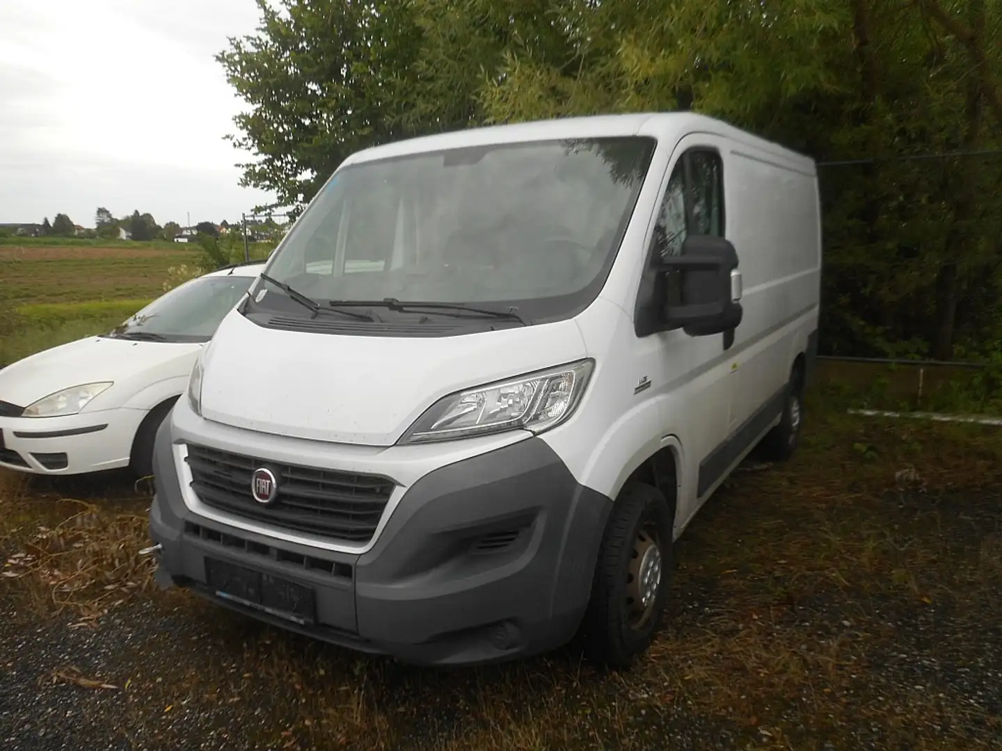 Fiat Ducato Ducato 30 L1H1 115 Multijet Navi Kasten Weiß - 1