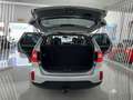 Kia Sorento 2.2CRDi Emotion 4x4 Aut. Gris - thumbnail 11