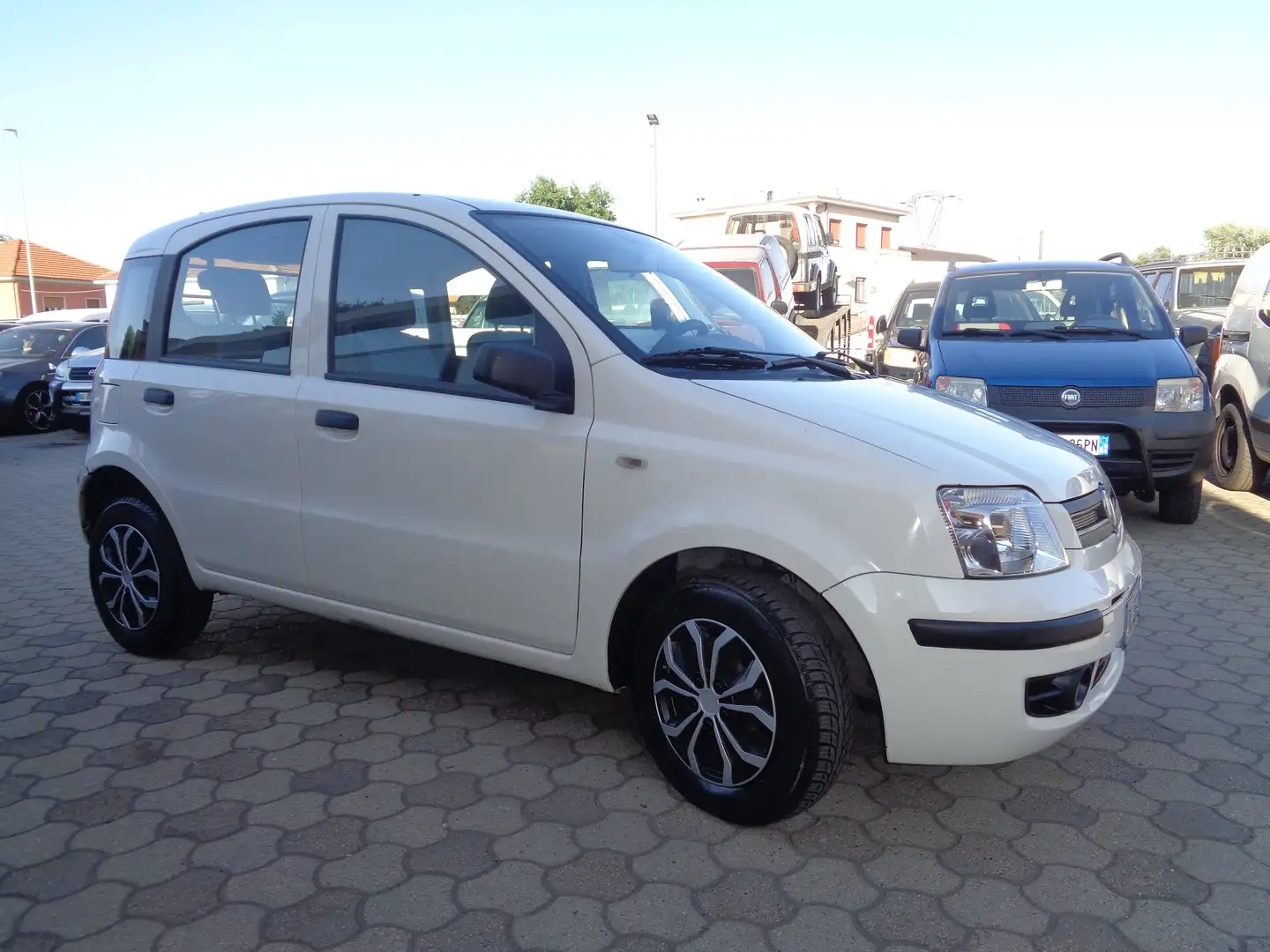 Fiat Panda multijet 1.3 Blanco - 1