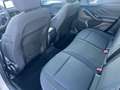 Ford Focus 1.5 TDCi 120 CV Start&Stop Pow. SW Titanium Busine Grigio - thumbnail 16
